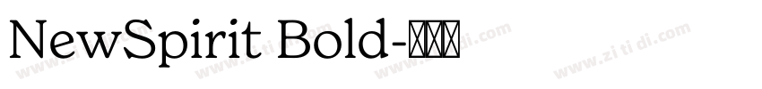 NewSpirit Bold字体转换
